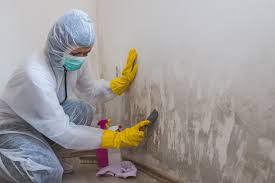 Best Forensic Mold Investigation in USA